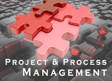 Project & Process Management Grafik